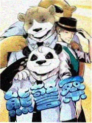 户外真人秀条目封面，山谷营地与篝火
